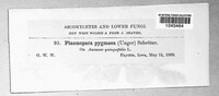 Image Associated With the Occurence